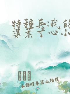 特种兵:我的老婆叶寸心小说