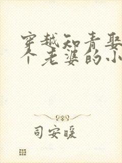 穿越知青娶了三个老婆的小说