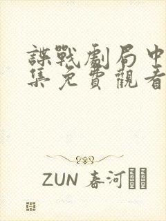 谍战剧局中人全集免费观看