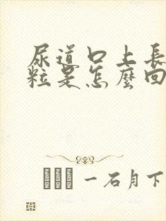 尿道口上长个颗粒是怎么回事