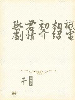 与君初相识分集剧情介绍电视猫