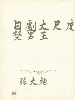 日剧大尺度推荐双男主