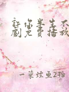 许你半生不见短剧免费播放全集