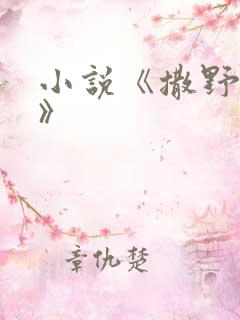 小说《撒野巫哲》