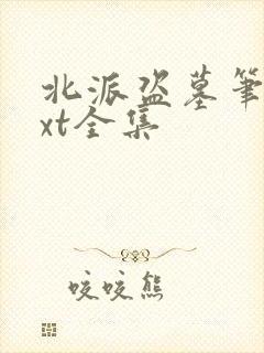 北派盗墓笔记txt全集