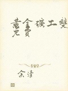 黄金矿工双人版免费