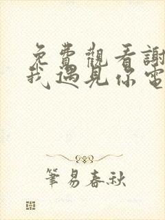 免费观看谢谢让我遇见你电视剧