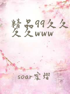 精品99久久久久久www