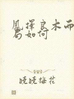 凤择良木而栖结局如何