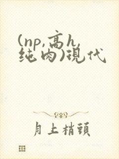(np,高h,纯肉)现代