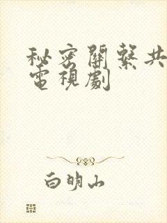 秘密关系共几集电视剧