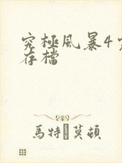 究极风暴4完美存档