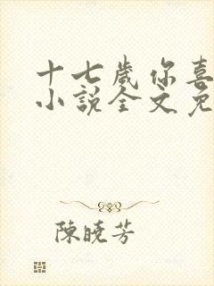 十七岁你喜欢谁小说全文免费阅读