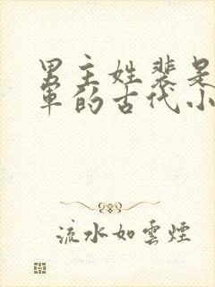 男主姓裴是个将军的古代小说