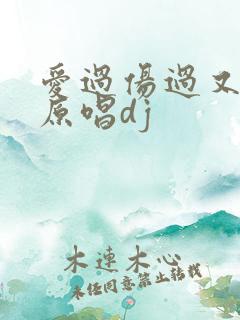 爱过伤过又错过原唱dj