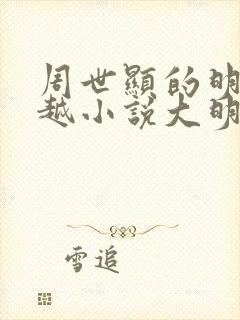 周世显的明朝穿越小说大明驸马爷