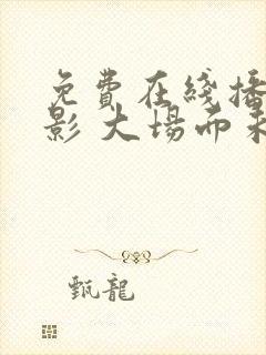 免费在线播放电影 大场面未删减版