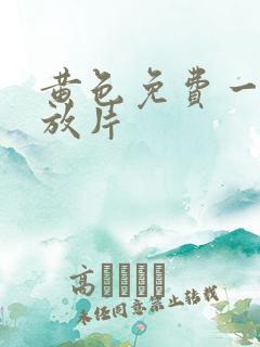 黄色免费一级播放片