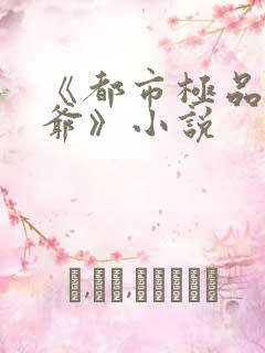 《都市极品太子爷》小说