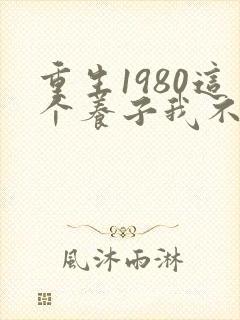 重生1980这个养子我不当了全集