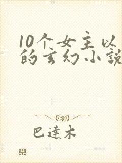 10个女主以上的玄幻小说