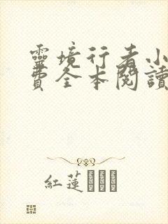 灵境行者小说免费全本阅读