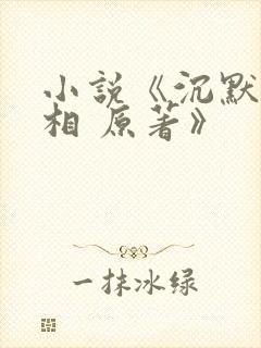 小说《沉默的真相 原著》