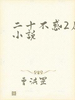 二十不惑2原著小说