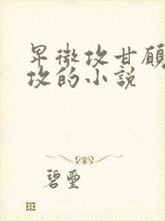 卑微攻甘愿被反攻的小说
