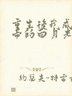 重生后我成了新帝的白月光