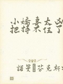 小娇妻太凶陆总把持不住了短剧全集