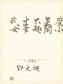 我才不是魔法少女笔趣阁小说