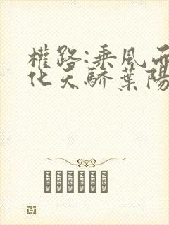 权路:乘风而起化天骄叶阳的小说