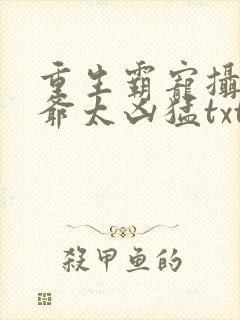 重生霸宠摄政王爷太凶猛txt