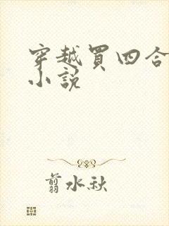 穿越买四合院的小说