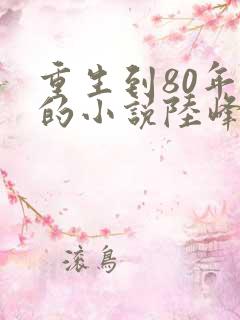 重生到80年代的小说陆峰