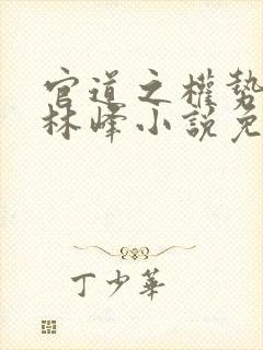 官道之权势滔天林峰小说免费阅读