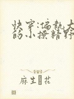 快穿:偏执大佬的小撩精野翻了txt全本