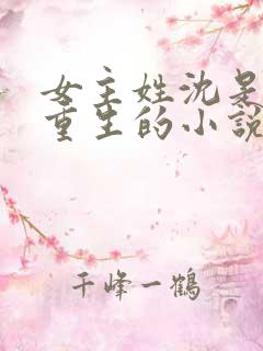 女主姓沈是贵妃重生的小说