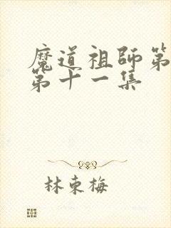 魔道祖师第三季第十一集