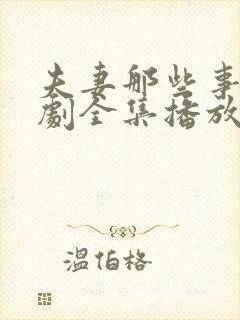 夫妻那些事电视剧全集播放