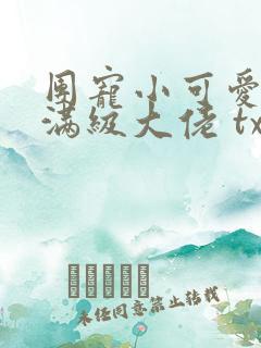 团宠小可爱成了满级大佬 txt