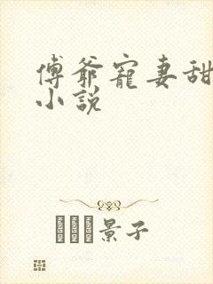 傅爷宠妻甜入骨小说