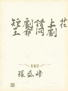 短剧错上花轿嫁王爷网剧