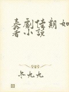 泰剧佳期如许原著小说