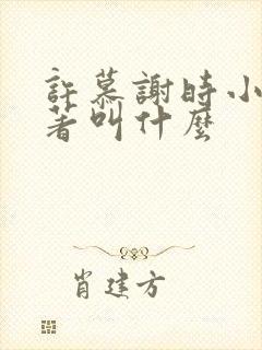 许慕谢时小说原著叫什么