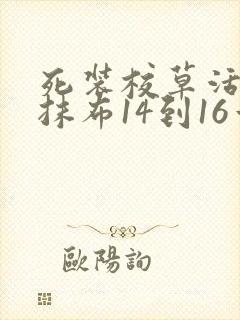 死装校草活该被抹布14到16章