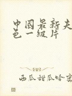 中国最新夫妻黄色一级片