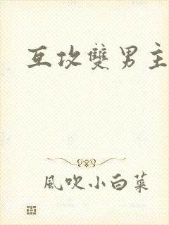 互攻双男主小说