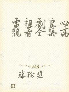 电视剧良心免费观看全集高清